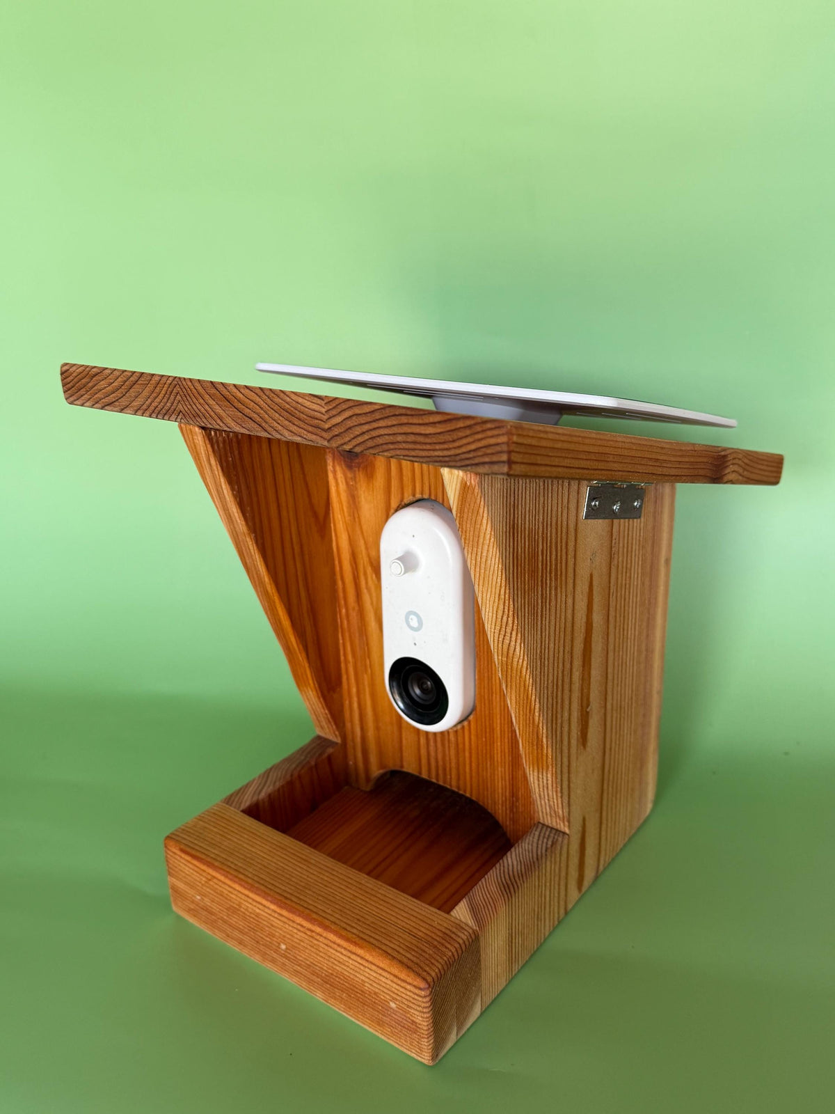 Solar Cedar Bird Feeder — Bird Buddy Compatible