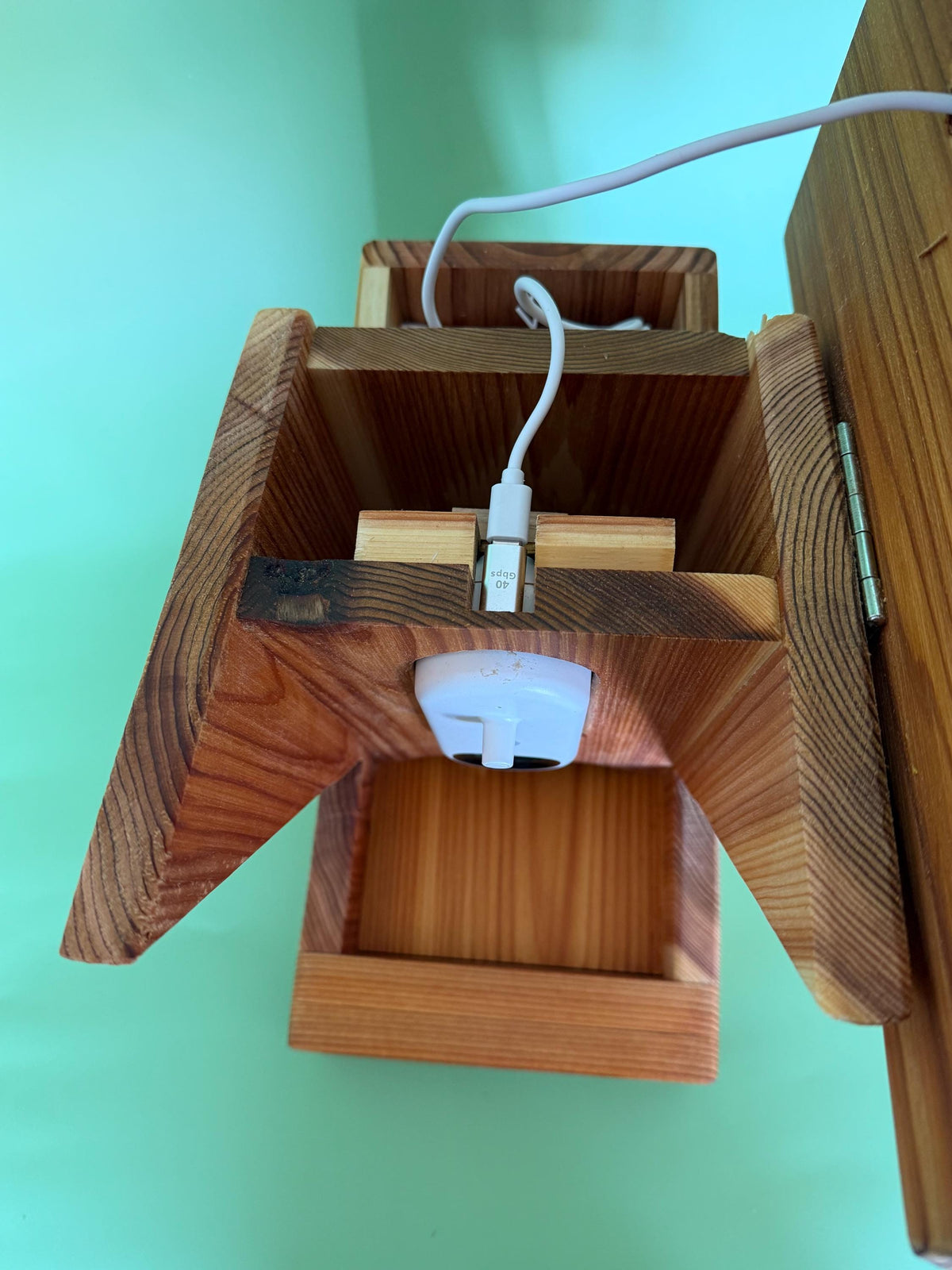 Solar Cedar Bird Feeder — Bird Buddy Compatible